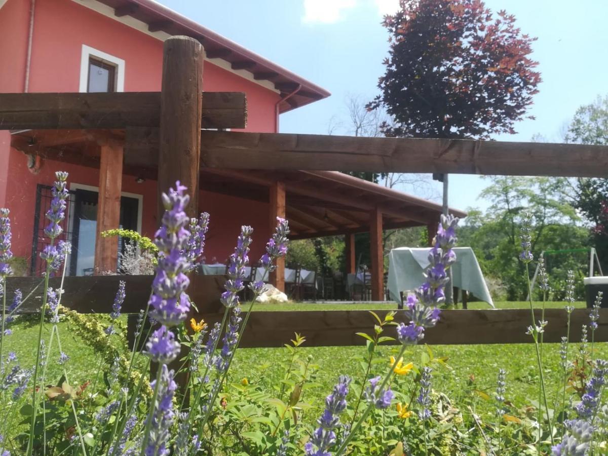 La Cascina Nel Bosco Bed & Breakfast Faicchio Dış mekan fotoğraf