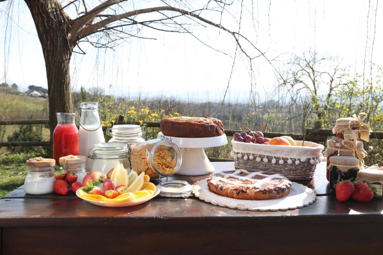 La Cascina Nel Bosco Bed & Breakfast Faicchio Dış mekan fotoğraf